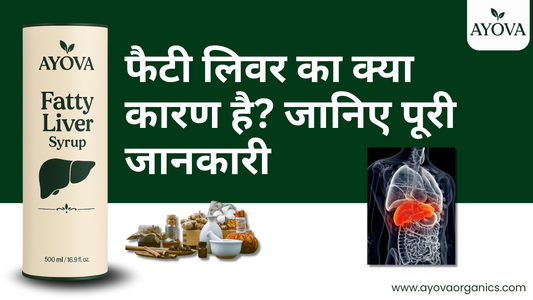फैटी लिवर का क्या कारण है? जानिए पूरी जानकारी