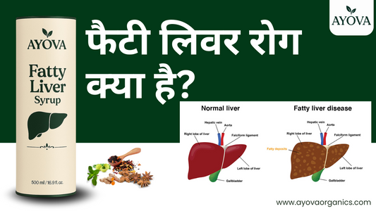 फैटी लिवर क्या है? कारण, लक्षण और इलाज जानिए