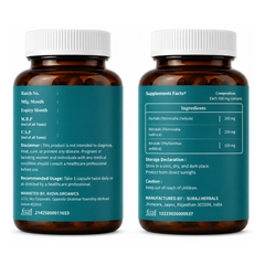 Organic Triphala Capsules with Amla, Haritaki & Bibhitaki Supports Gut Health & Immune System